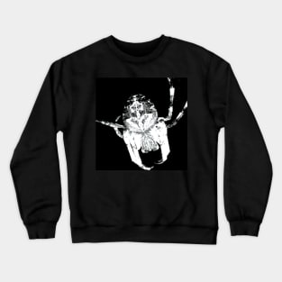 The Orb Weaver in White Crewneck Sweatshirt